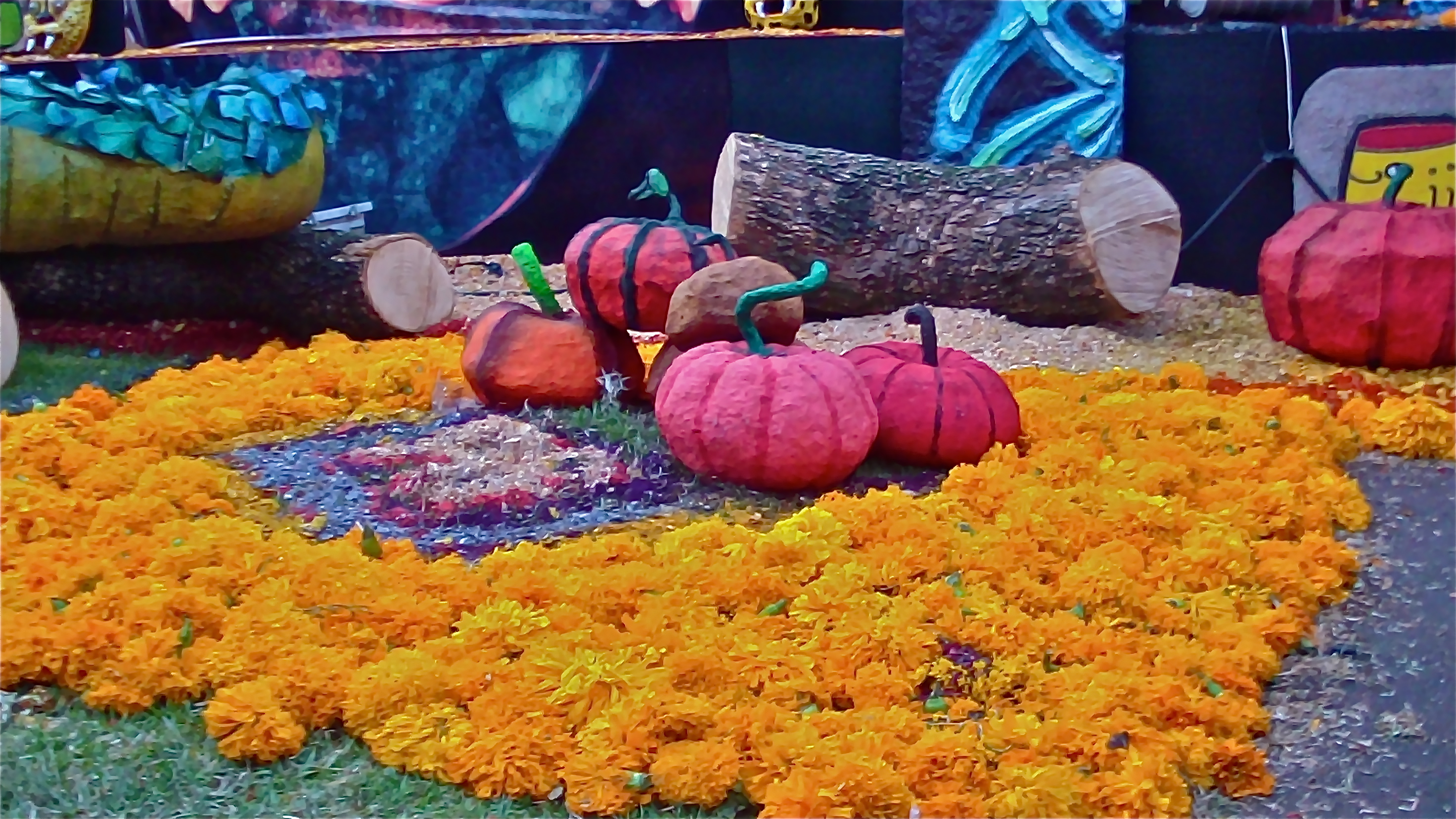 Ofrenda tradicional con calabazas y alfombra de flores naranjas de cempasúchil por el Día de Muertos y Halloween