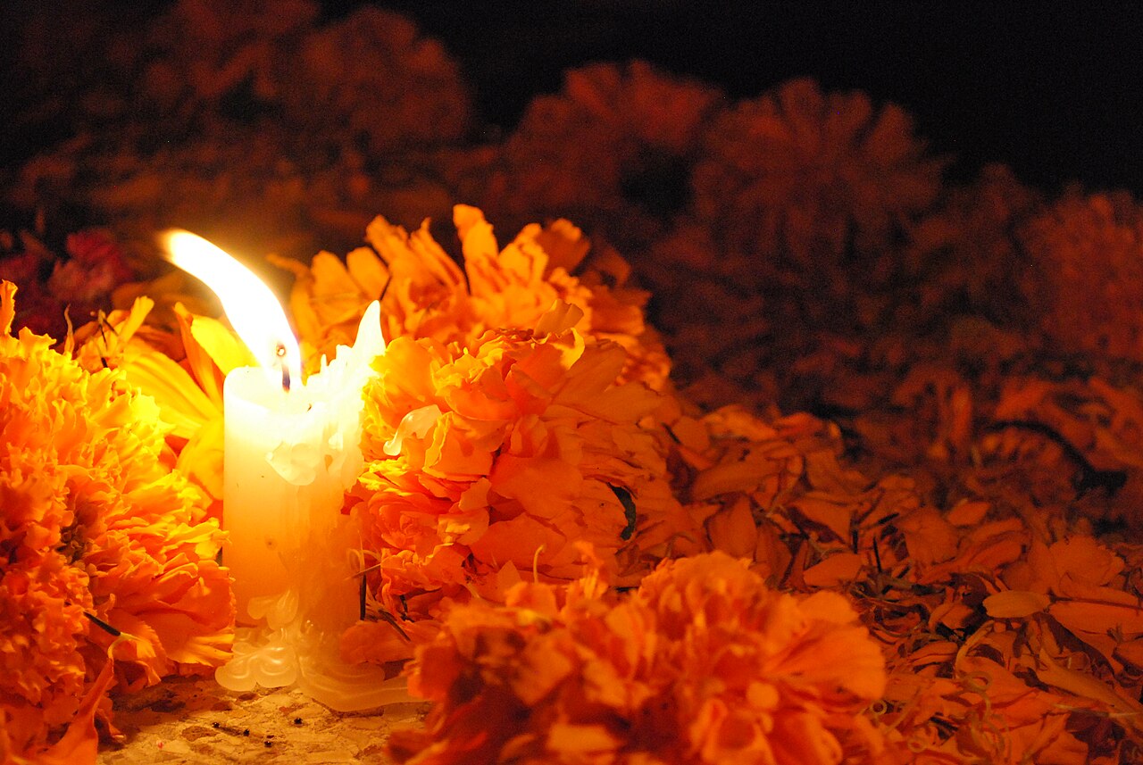 Velas encendidas rodeadas de flores naranjas de cempasúchil que simbolizan el camino de luz en el Altar de Muertos